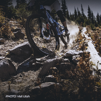 Downhill: Sensasi Turun Gunung yang Anti Mainstream