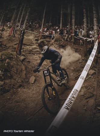 Downhill Bike