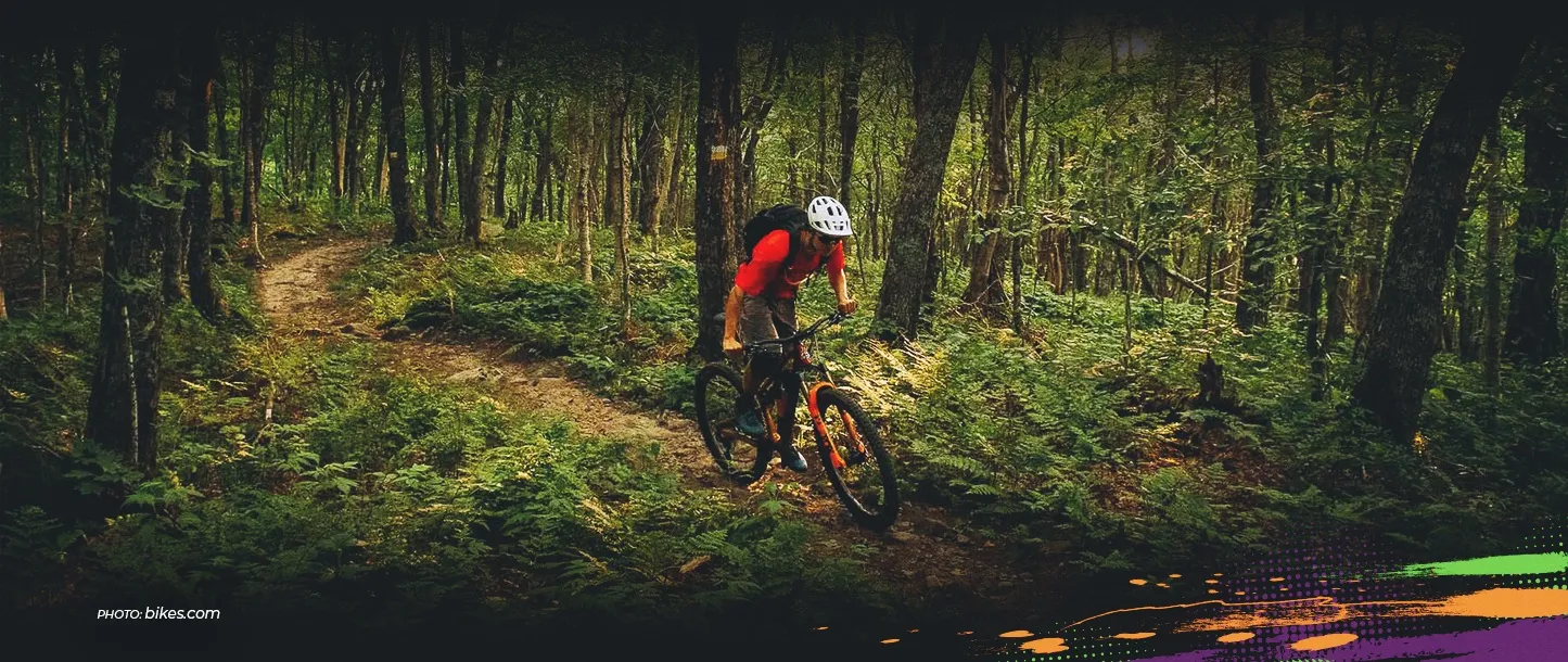 Mountain Bike Explained